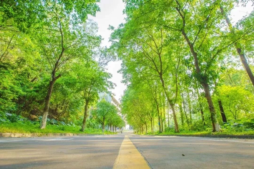 广东省的优秀高校,广东省优秀院校