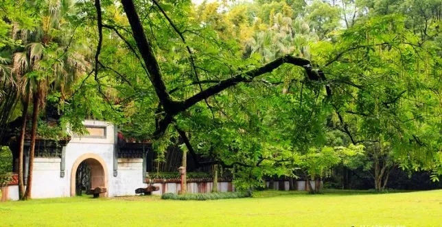 6月份去武夷山的旅游的攻略,厦门到武夷山自助旅游攻略路线