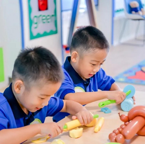 杭州萧山威雅幼儿园,杭州威雅国际学校幼儿园