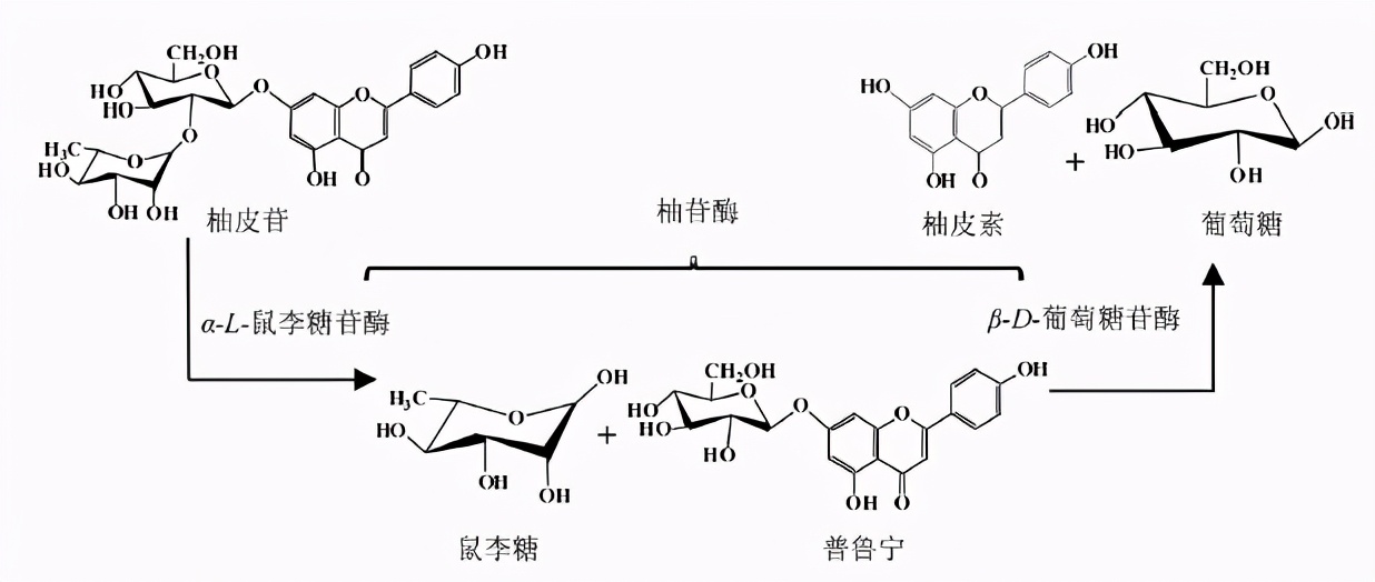 自己榨的橙汁和橙子有什么区别,鲜榨柑橘果汁的危害