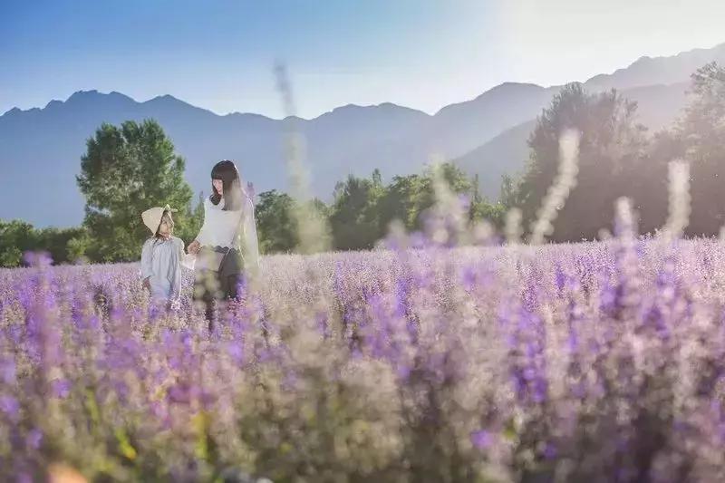 clubmedjoyview安吉度假村北京,clubmedjoyview延庆度假