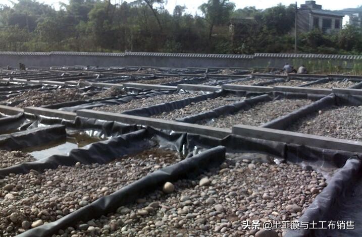 生态农业养殖价格表最新,绿色渔业养殖费用