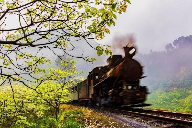 犍为最美的风景是哪里,犍为风景最优美的地方