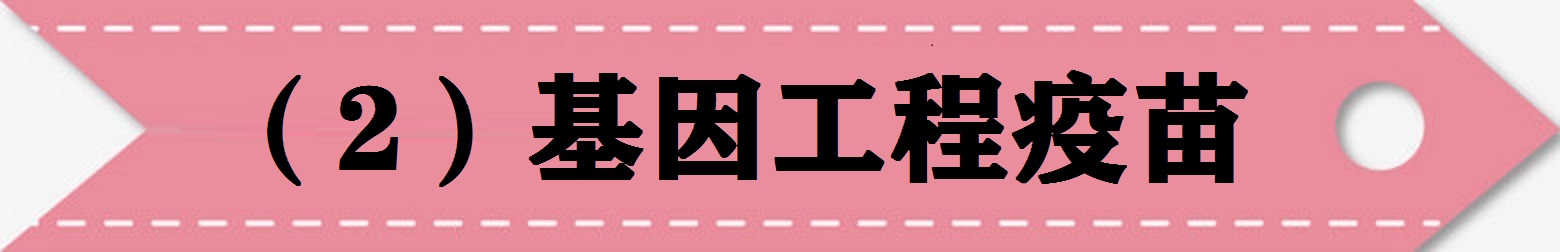 肿瘤免疫治疗的故事连载二十四,肿瘤免疫治疗的故事
