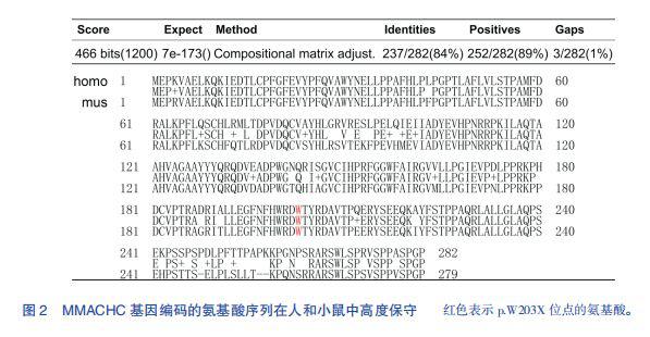 遗传基因代谢疾病怎么治疗,基因治疗基因病