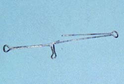 天才小钓手日语,天才小钓手养成记