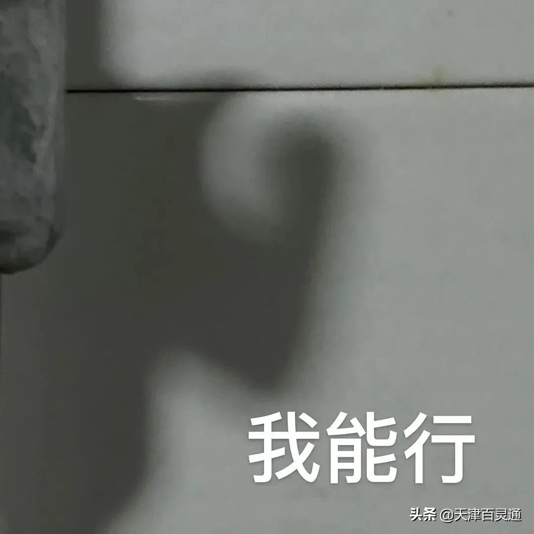 本周上班时间有变明天要上班,关注节后上班时间有变