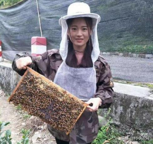 农村创业100万养殖什么最赚钱,农村致富创业养殖好项目养羊