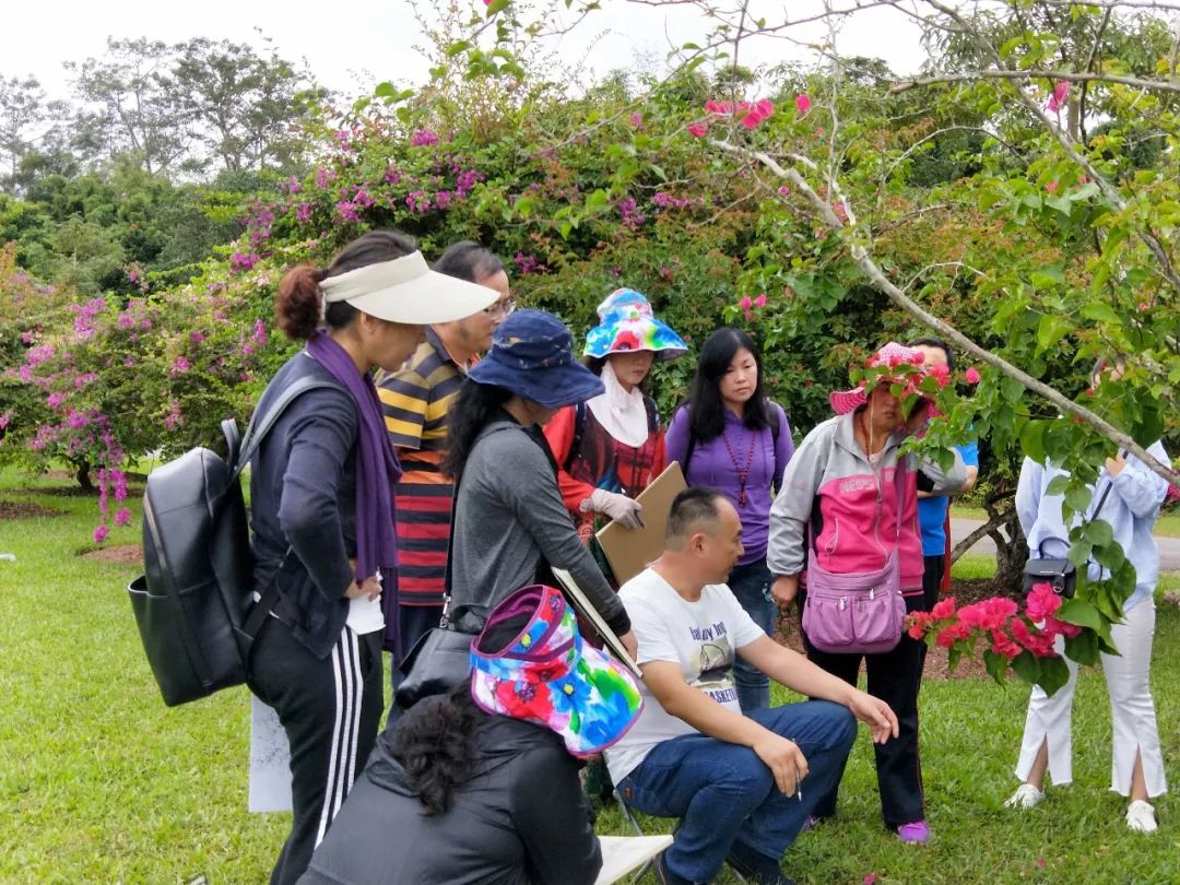 袁金奎老师国画作品欣赏,袁金奎写意花鸟画作品