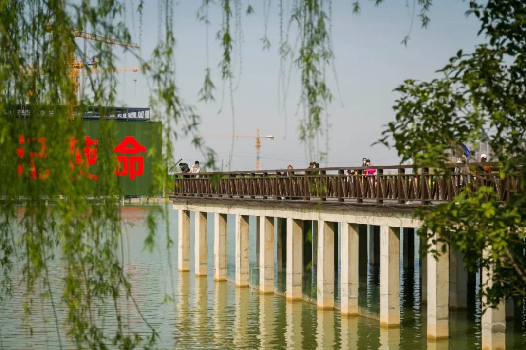 郑州亲子游户外公园十大排行榜,郑州免费适合遛娃玩的公园