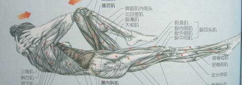 健身腰上的肉太多怎么办,健身腰部赘肉多