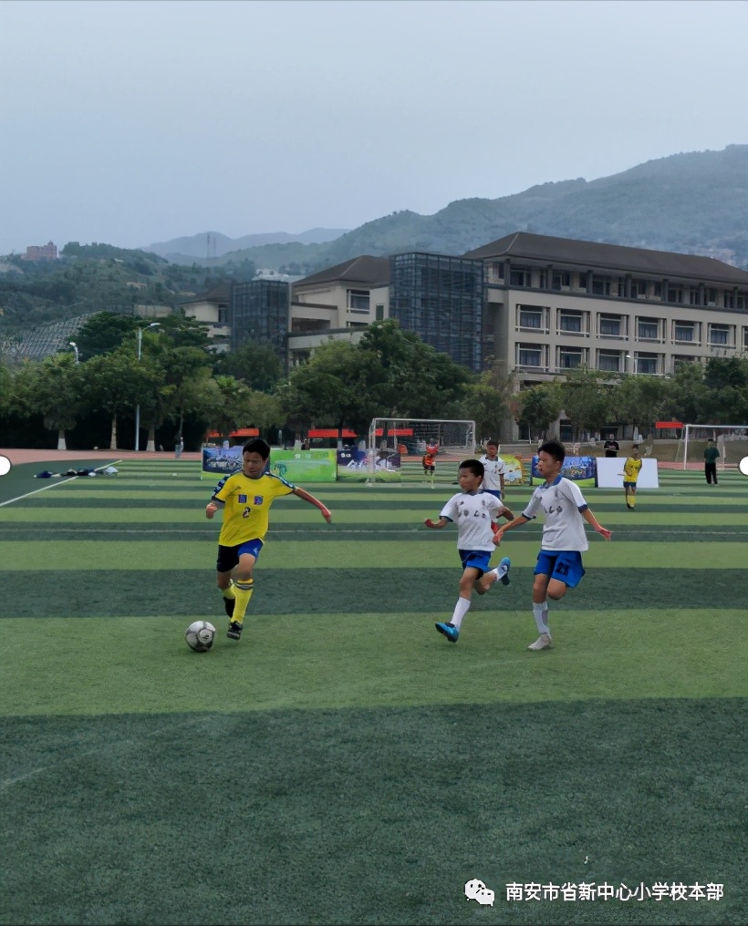 泉州小学足球联赛,泉州市小将夺冠