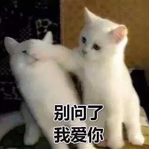 vivo手机语音识别不出来怎么办,vivo手机怎么翻译屏幕内的英文