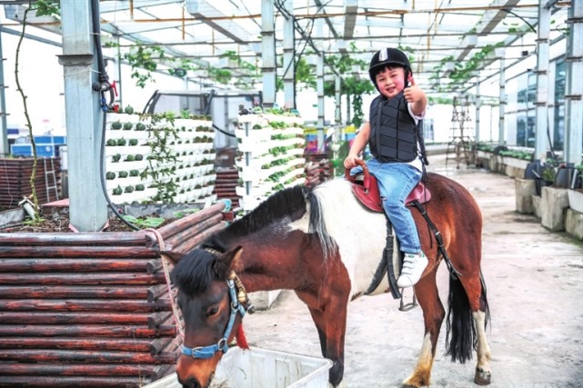 重庆太空梦幻农业科技,大渡口梦幻太空农场