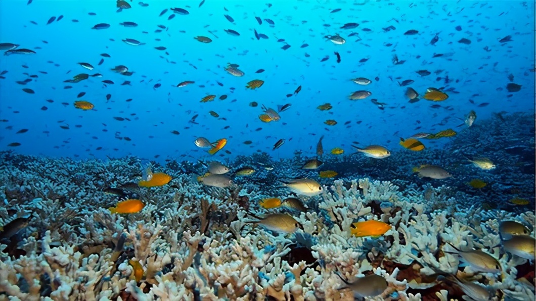 新马泰之旅的美好时光,新马泰十日游游记