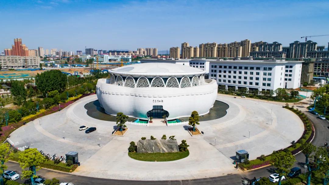 周一至周五免票,半价活动都有哪些