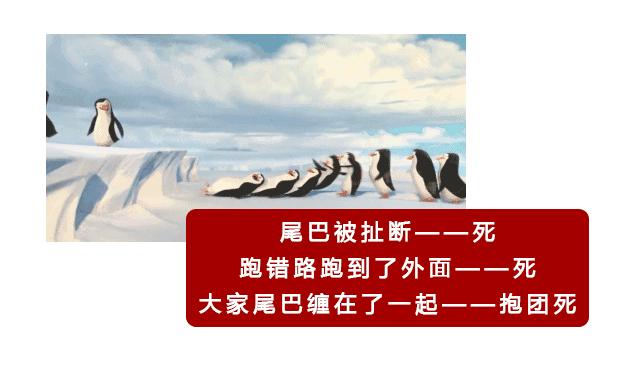 「漫画图解」精子先生“过三关斩六将”的求爱之旅