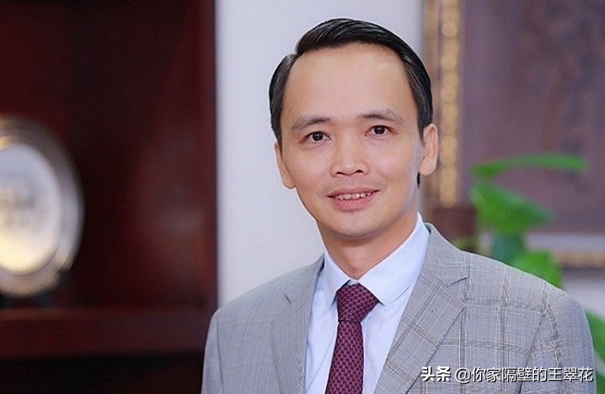 越南十大富豪籍贯,越南十大富豪华人占几位