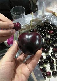 你好搞笑图文,搞笑挖掘机图文