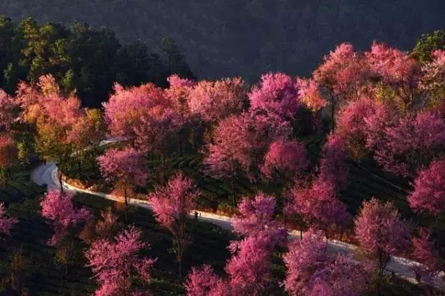 下半年旅行最佳时间表,2023最佳旅游时间表