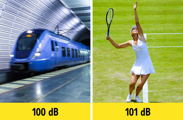 足球草坪为什么是方格子,足球草坪是怎么出来的