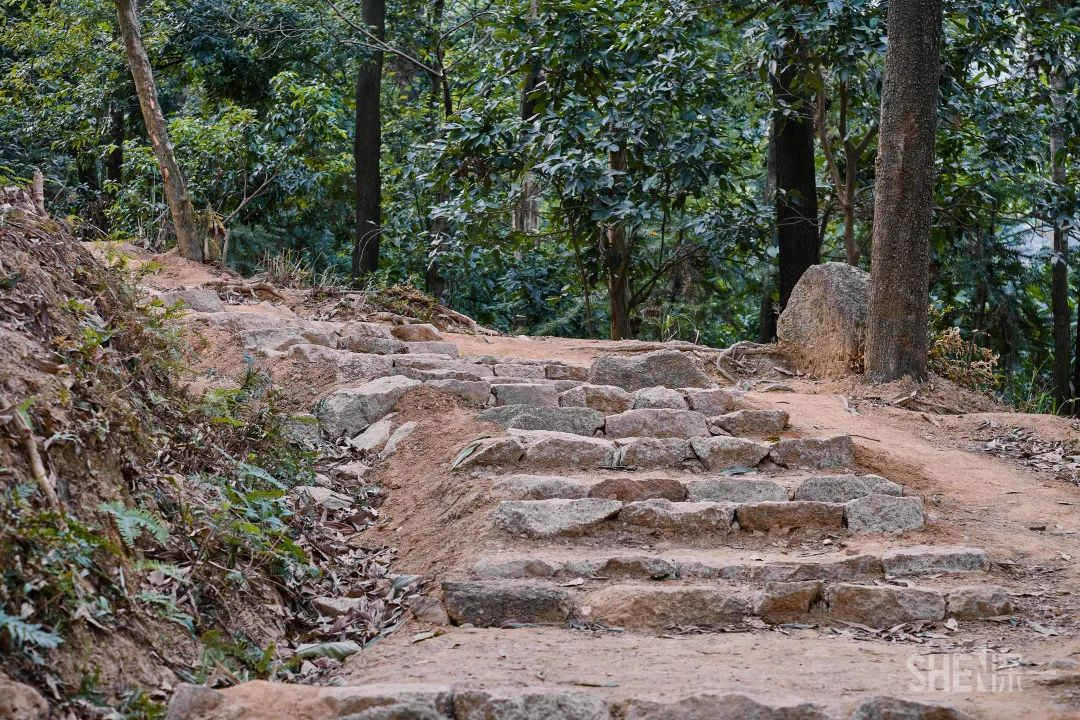 深圳购物商场排名,深圳最新商场开业