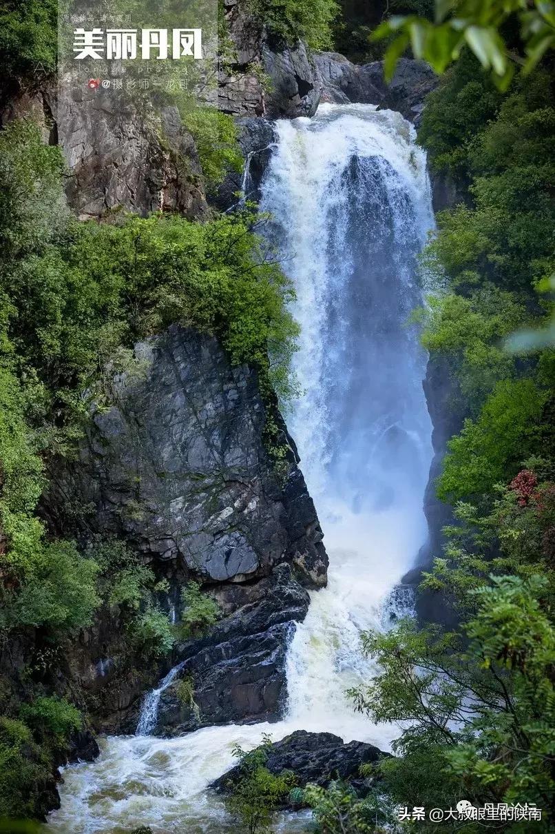 丹凤县七一建党节活动,丹凤建党