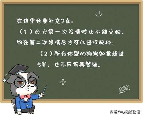 狗狗繁育问题,新手狗狗的受孕过程
