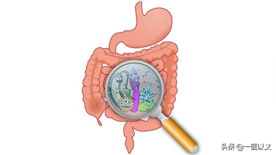 经常拉肚子腹泻中医怎么调理,经常性腹泻拉肚子是怎么回事