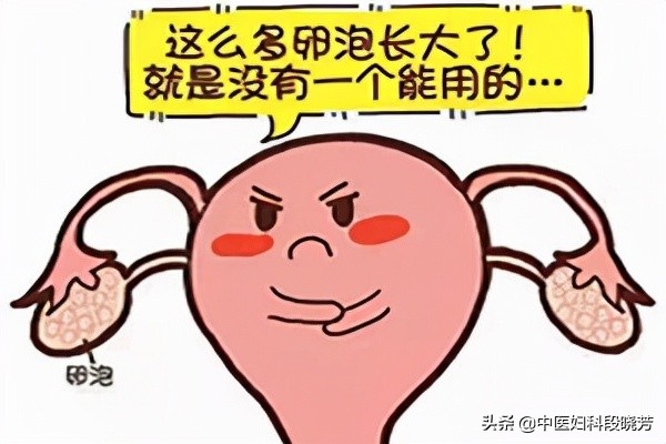 多囊与不孕：卵泡那么多，为啥还难怀孕！段晓芳专家前来解答