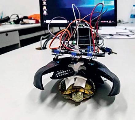 王凯杭州湾,王凯水里拍戏