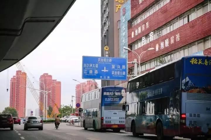 白沙洲，是我生活的底色