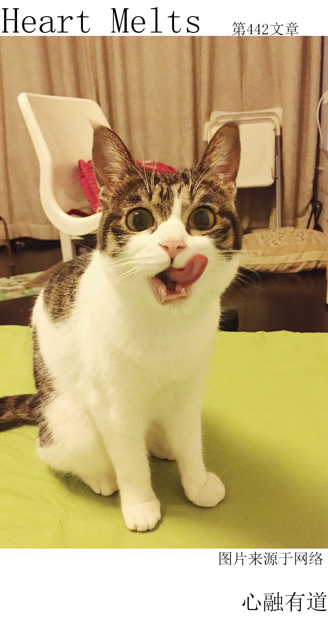 二十六岁的我一事无成，没有男友没有稳定工作怎么办？