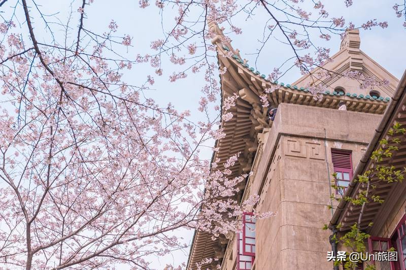 十大热门网红打卡点,2022年网红打卡地排行榜