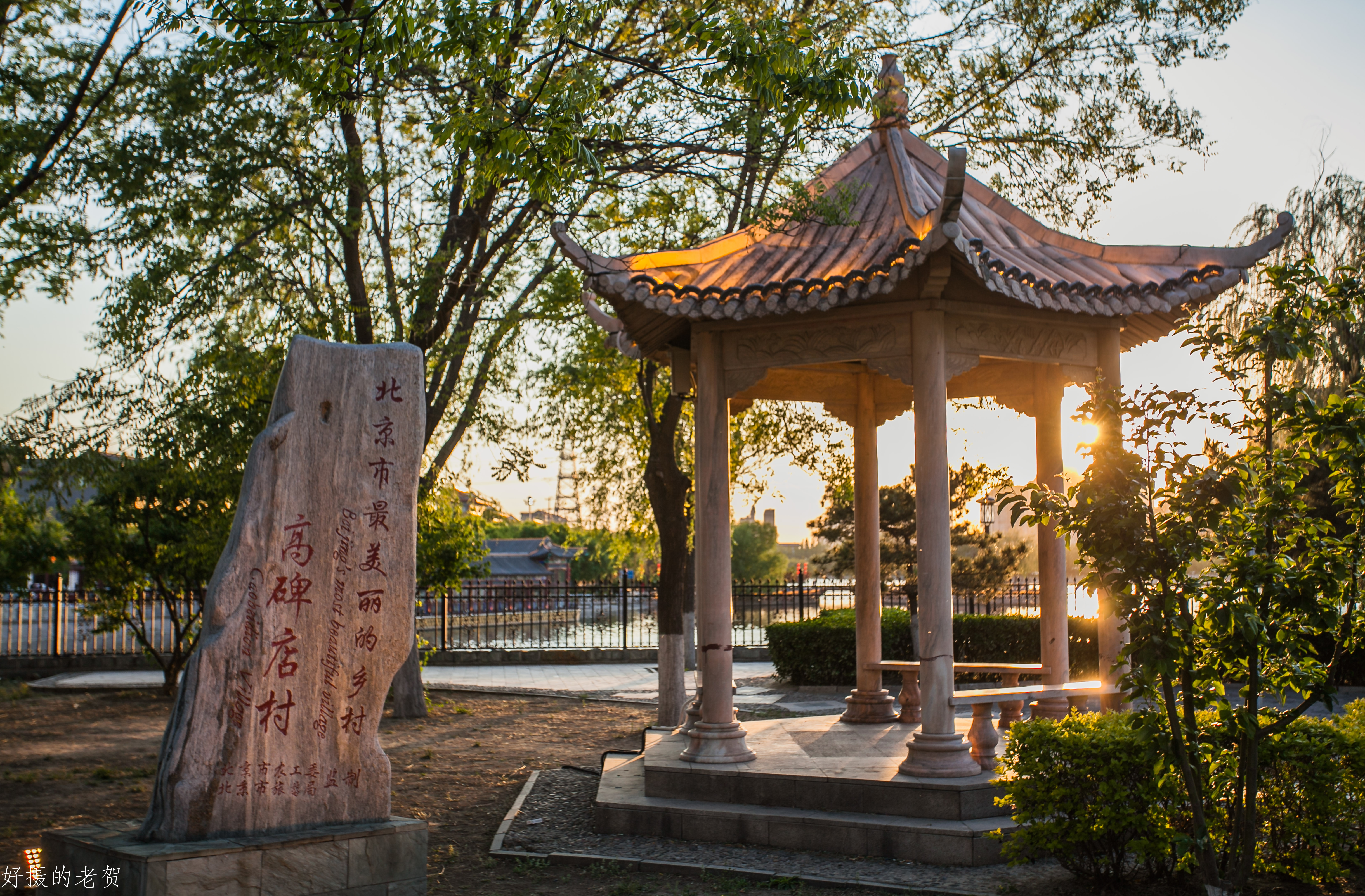 小小街头公园也有春天？疫情期间，它成为唯一舒缓心情的伊甸园