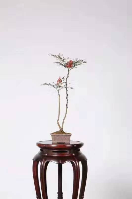 红木家具上的毛毯污渍怎么清洁,如何清除红木家具油漆污渍