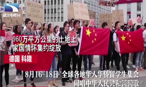 挺香港反*力暴**！饭圈女孩、帝吧网友出征外网，守护祖国绝不动摇