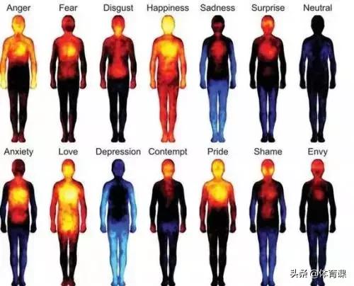 运动造就健康的体魄和宽阔的胸怀,运动才是健康的本钱