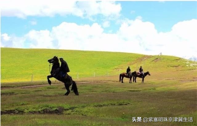 夏天最美的草原大环线，一次看尽万般风景-张北中都草原祈福人家