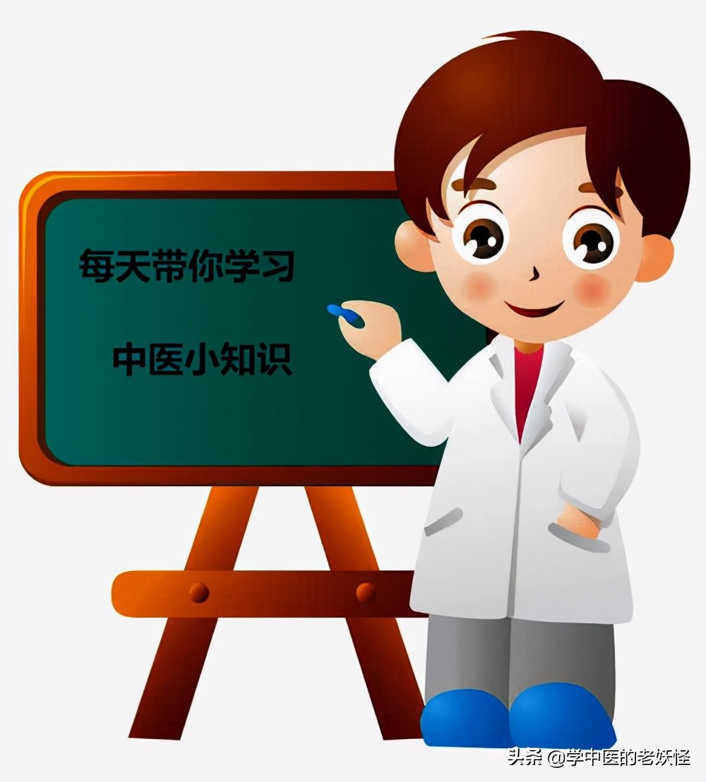 每天学习一味中药视频,槟榔中药方子