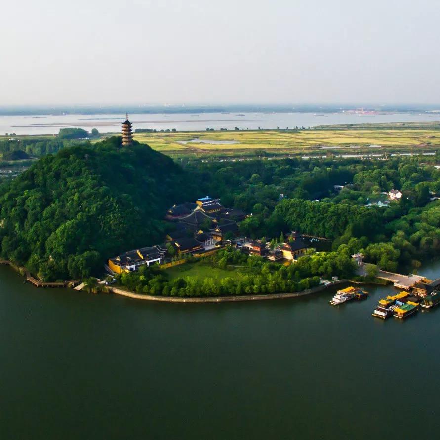 米醋和柿子醋哪个好,柿子醋中国人自己的饮料