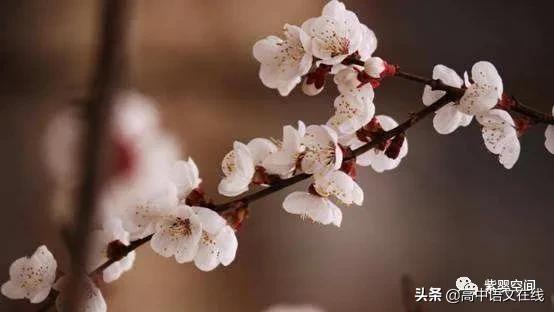 全国上下共同抗战新冠状病毒作文,全国抗击新冠肺炎疫情作文
