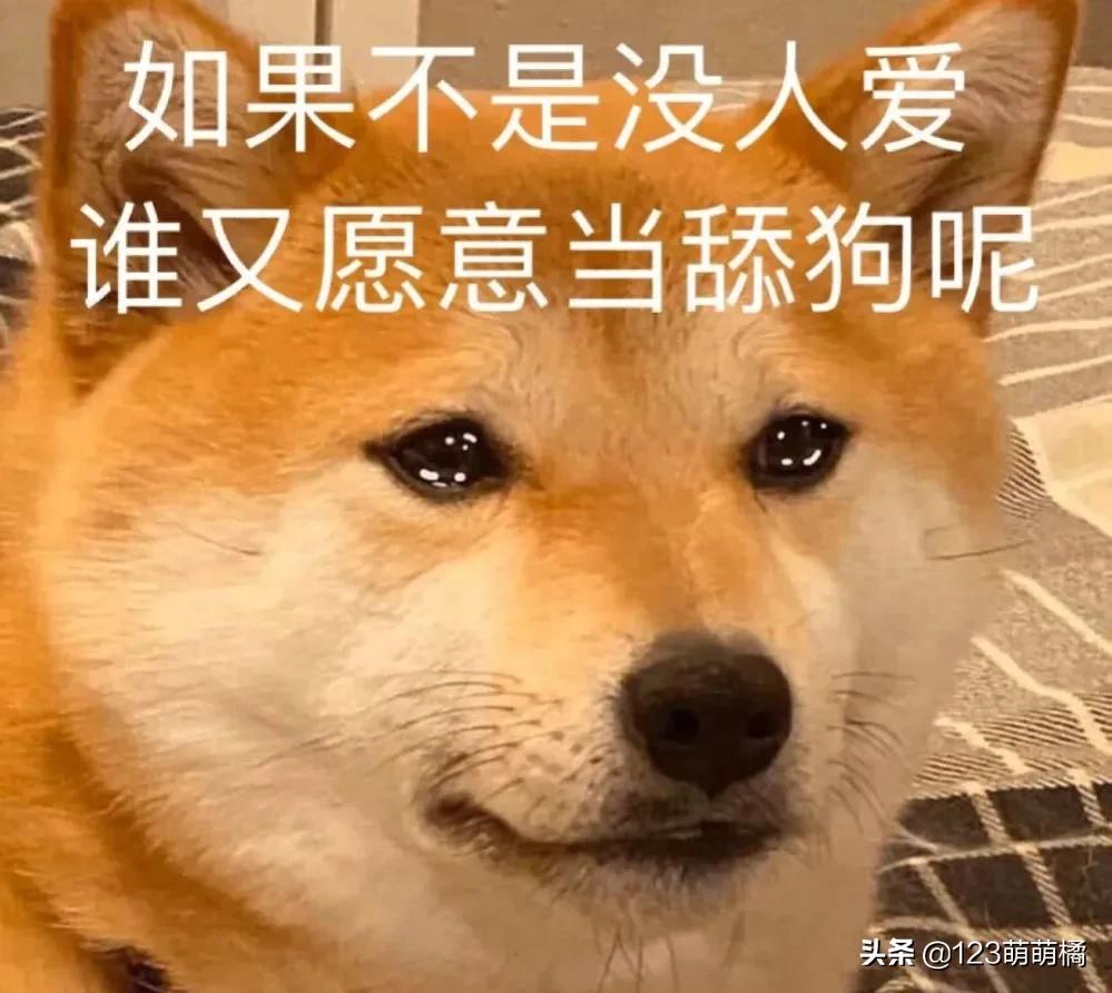 不会解说的解说员——《隔壁家的母狗生娃过程》