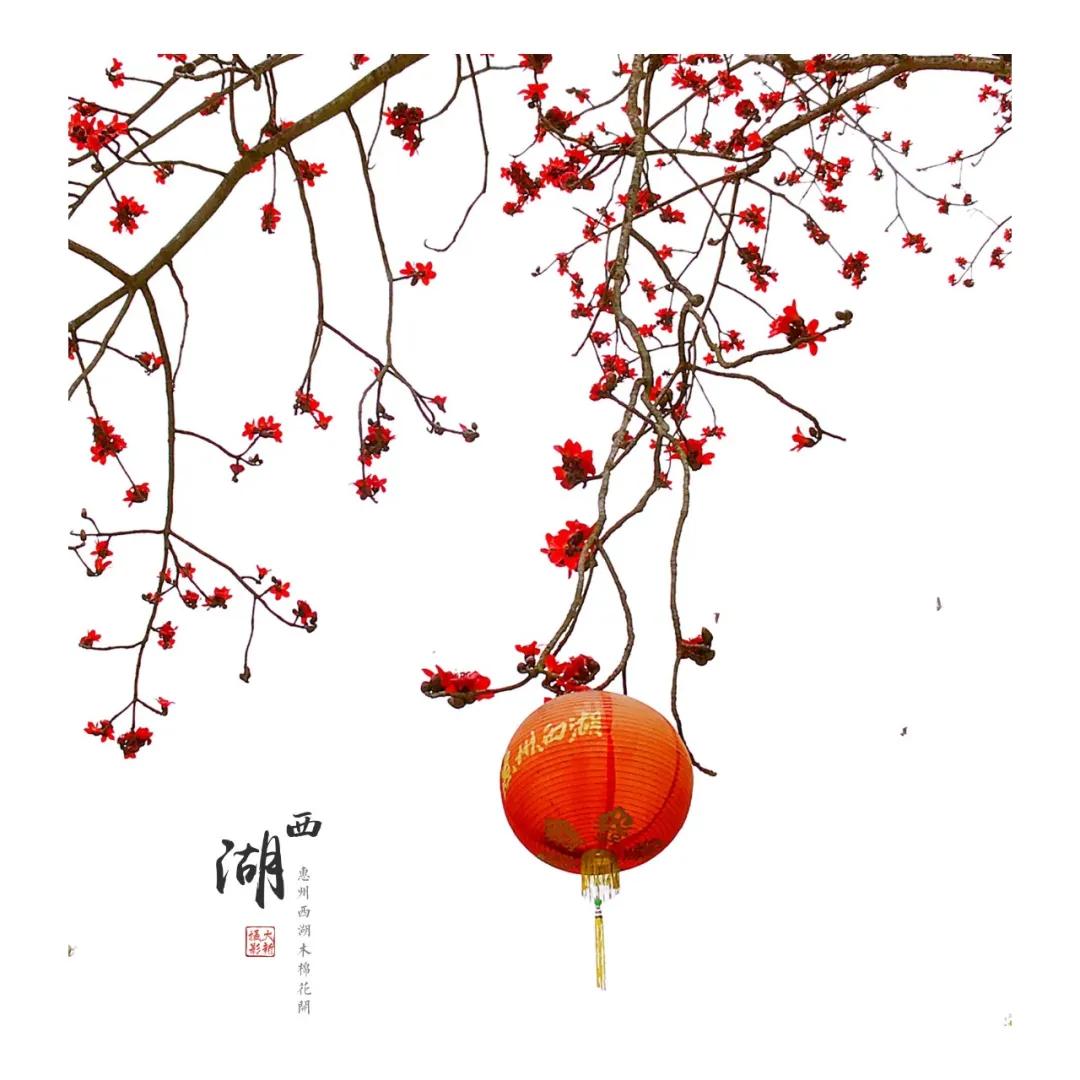 惠州亮灯为武汉加油,惠州武汉加油