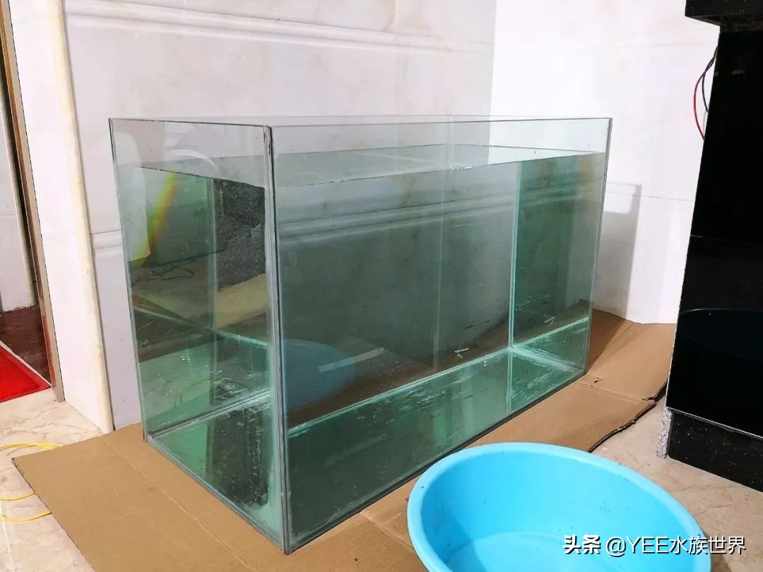 水族粘水管的胶,水族缸胶