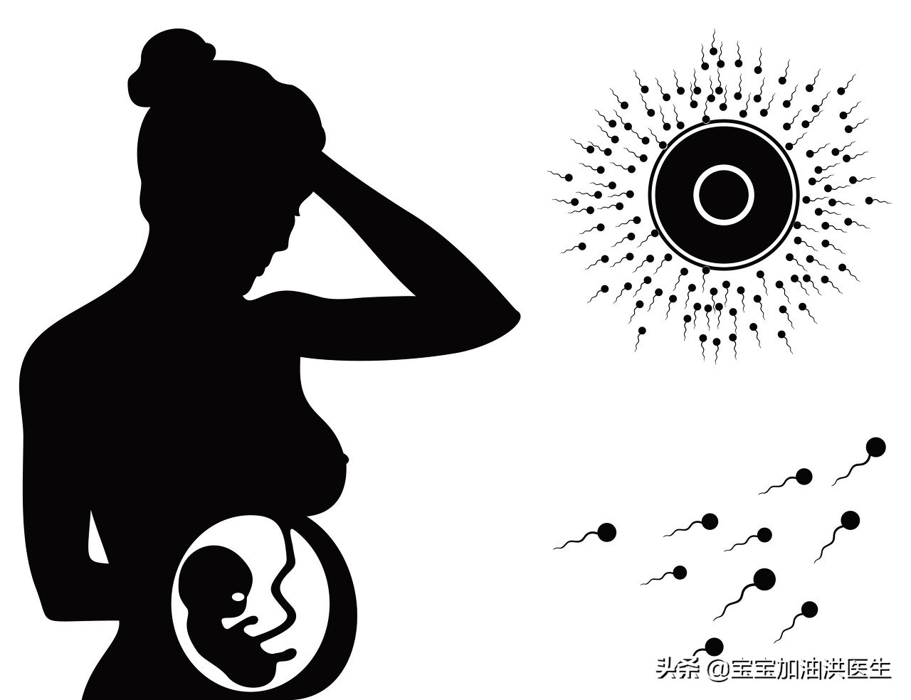 #洪医生看出生缺陷#——胎儿脑袋里有泡泡，这是异常吗？