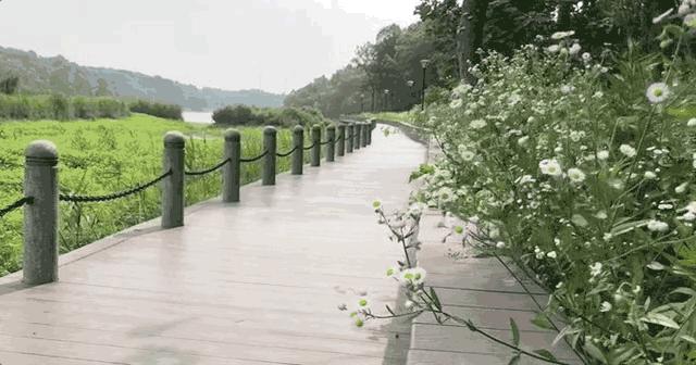 孤山宝藏景点,浦口有个什么溶洞景点