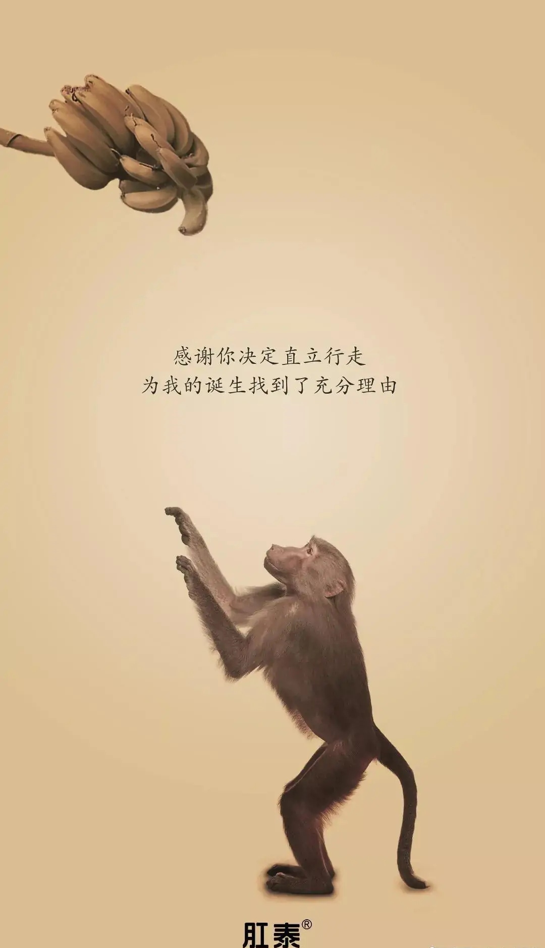 感恩节文案，杜蕾斯仍然没让大家失望！肛泰的文案厉害了！