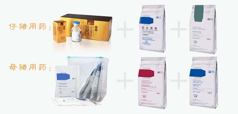 仔猪肠胃炎,如何防治仔猪胃肠炎和流行性腹泻