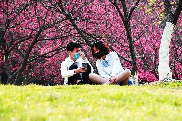 天津东疆港亲海公园今天开放吗,天津将新添一座公园预计开放时间